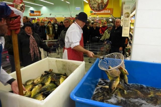 Żywego karpia dostaniemy tylko w trzech sieciach sklepów