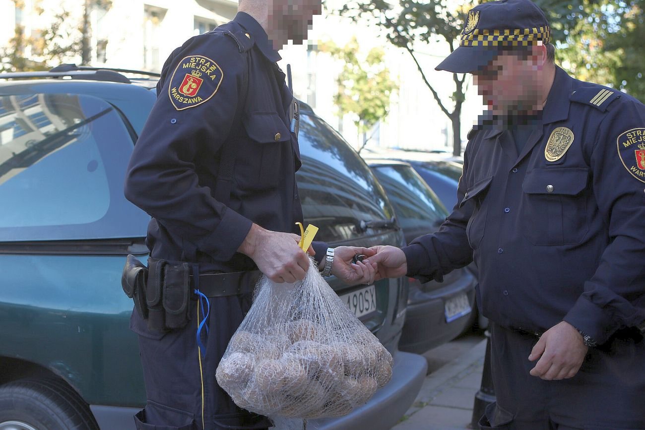 Straż Miejska narzeka, że bywa piętnowana za ściganie "babć sprzedających pietruszkę". One często pracują dla kogoś, są tylko elementem nielegalnych biznesów