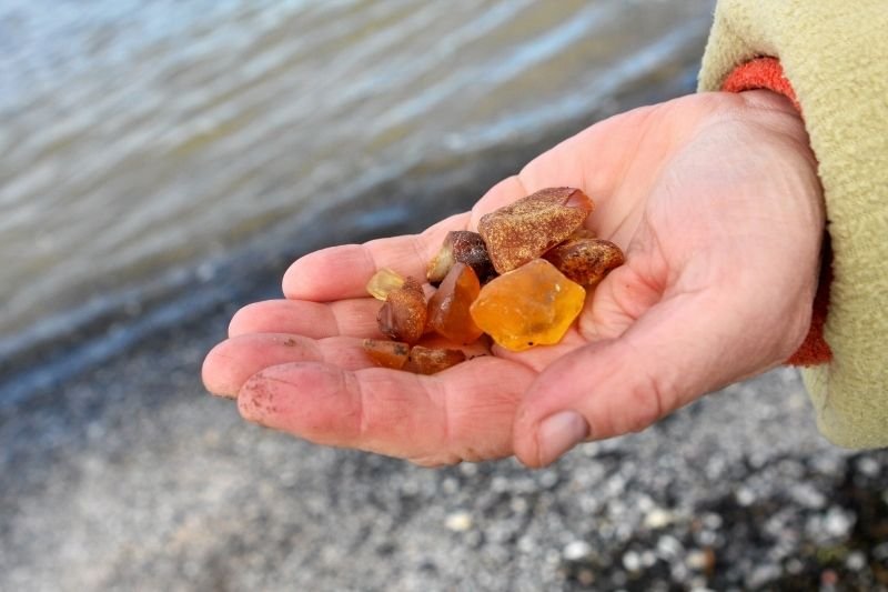 Podczas przekopu Mierzei Wiślanej wydobyto jedynie 17 kg bursztynu.