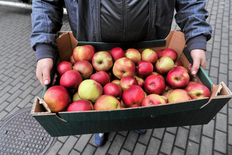 Polska drugim w Europie producentem jabłek.