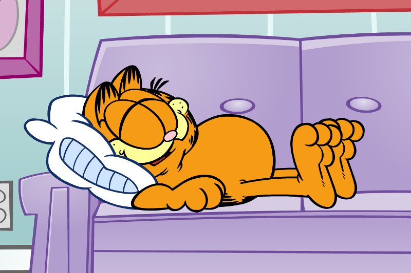 Garfield, koci bohater komiksów i seriali animowanych, za swój priorytet uważał dbałość o dobry i długi sen. My również możemy sprawić, że będziemy budzić się wypoczęci i chętni do działania