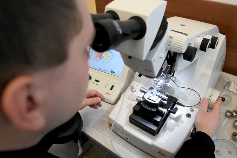 Polscy naukowcy jako pierwsi na świecie mogą wynaleźć lek, który może pokonać Sanfilippo – śmiertelną chorobę atakującą dzieci.