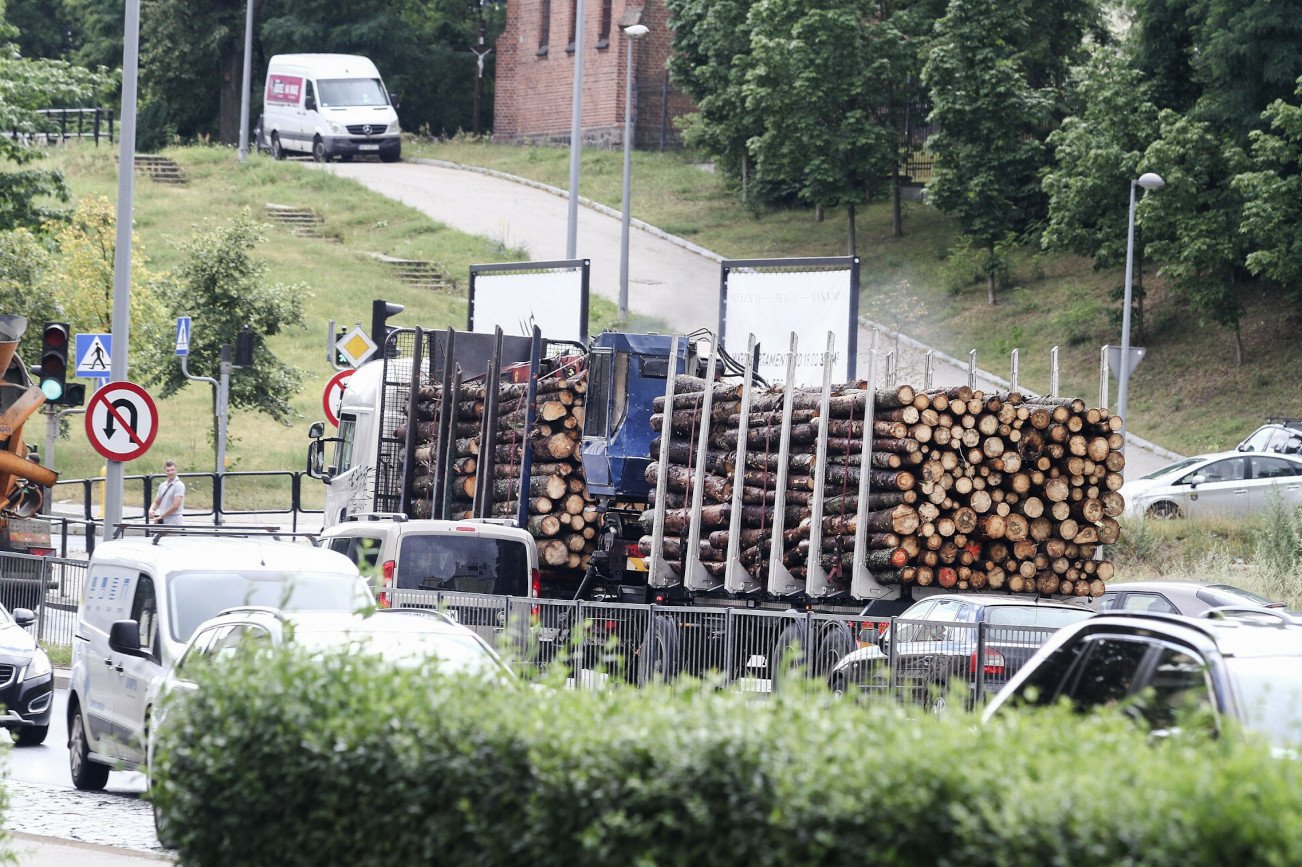 Z Polski co roku są wywożone tony drewna