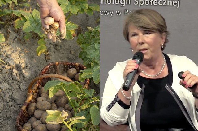 Solange Olszewska została rolnikiem. Cała rodzina żywi się tylko tym co wyprodukuje na polu.