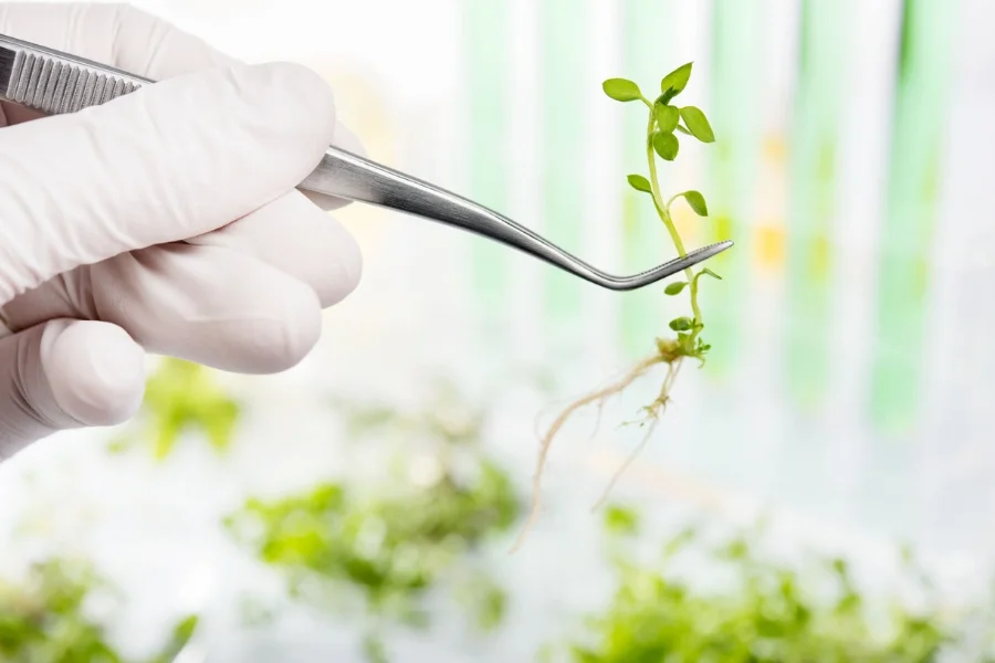 Life science to nie tylko medycyna i farmacja, ale też biotechnologie i botanika.