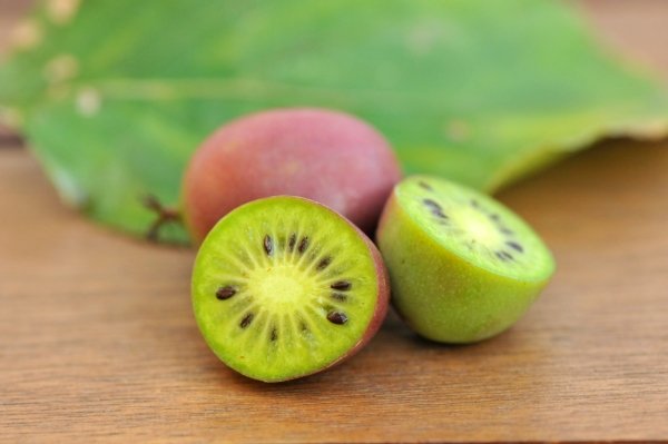 W Lidlu zadebiutowało mini kiwi - nowy polski superfood