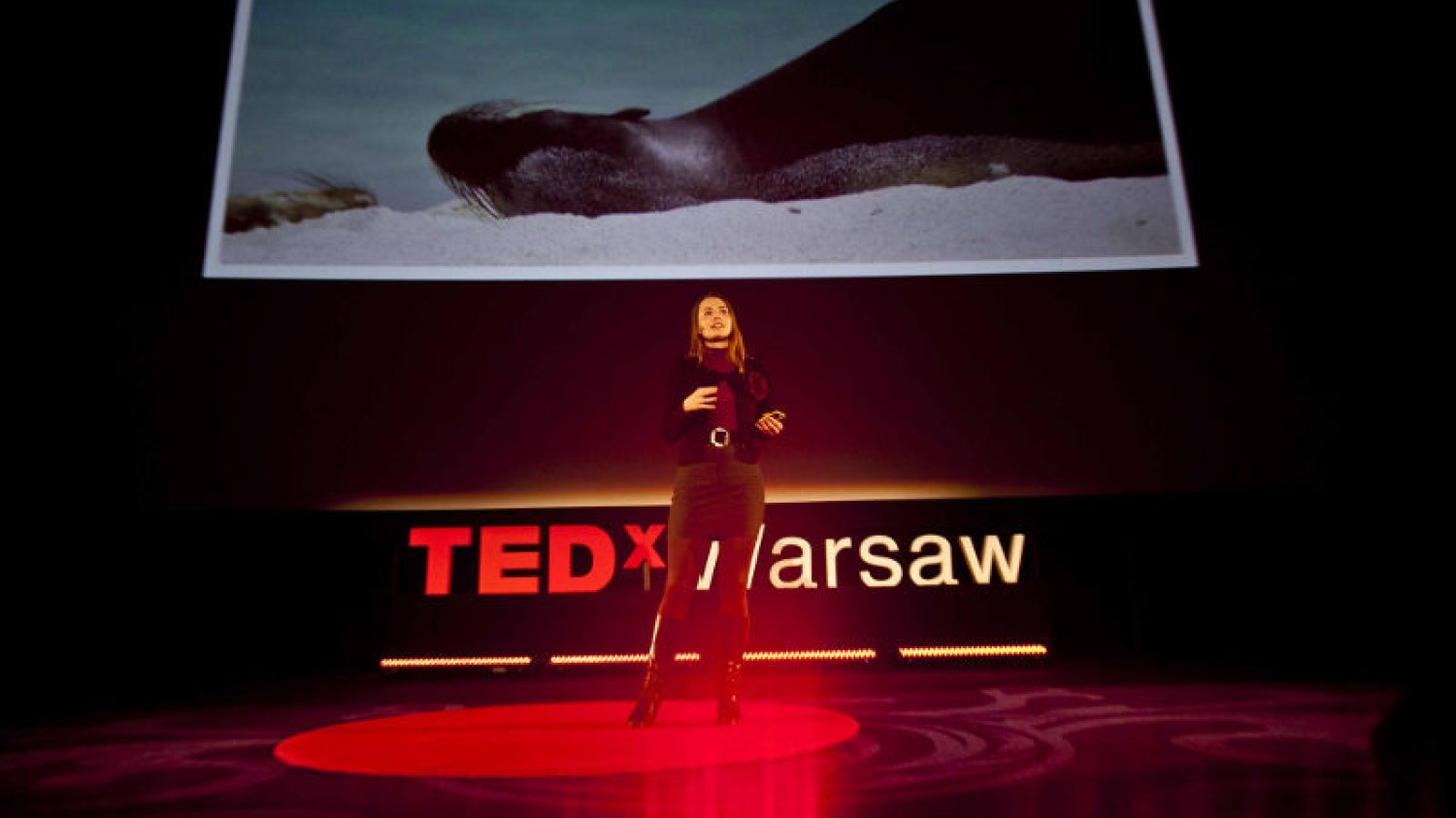 Zoolożka Joanna Bagniewska podczas swojego wystąpienia na TEDxWarsaw w 2013 roku.