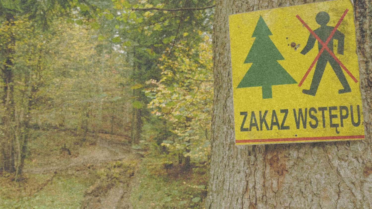Zakaz wstępu do lasu.