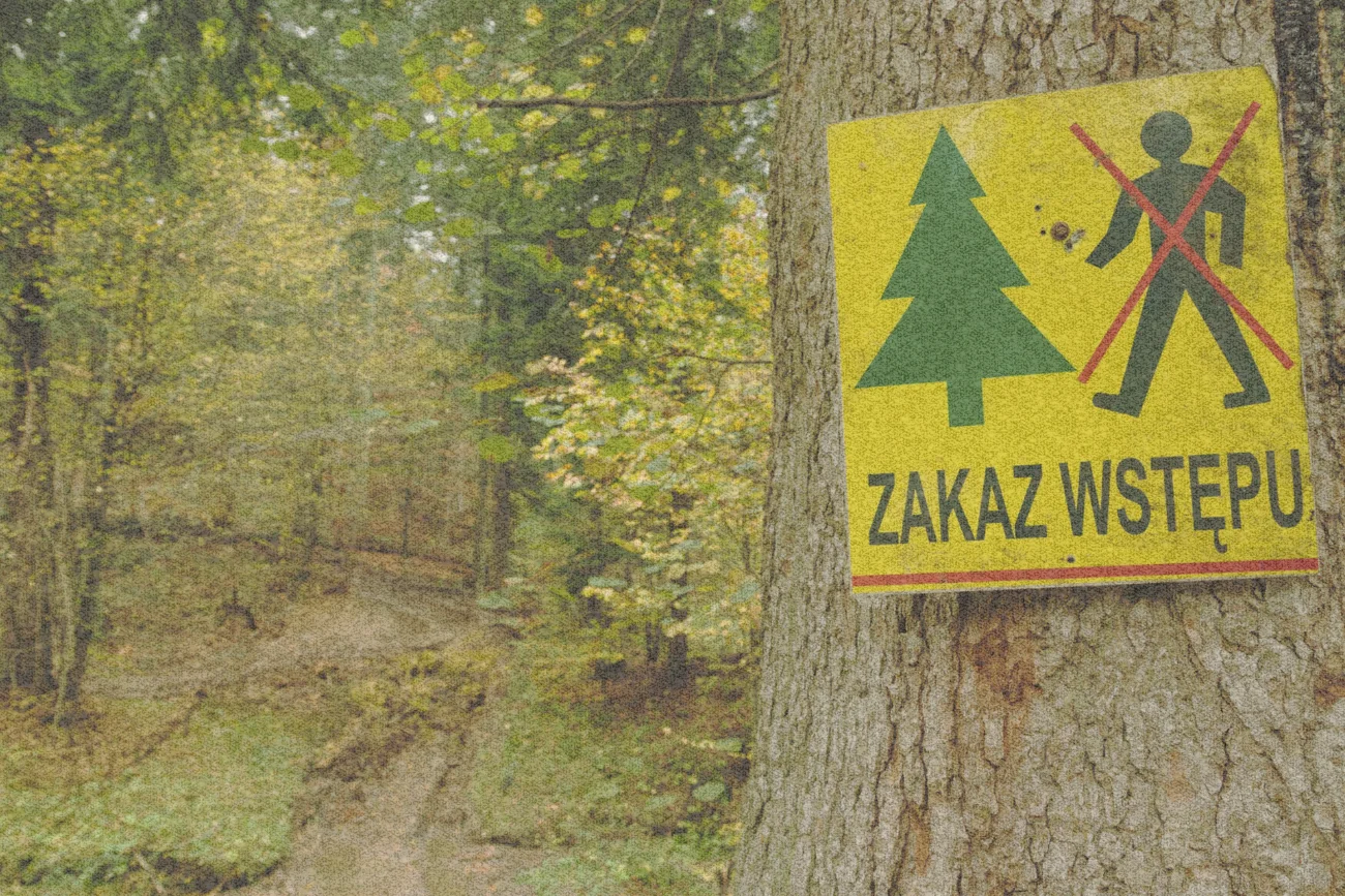 Zakaz wstępu do lasu.