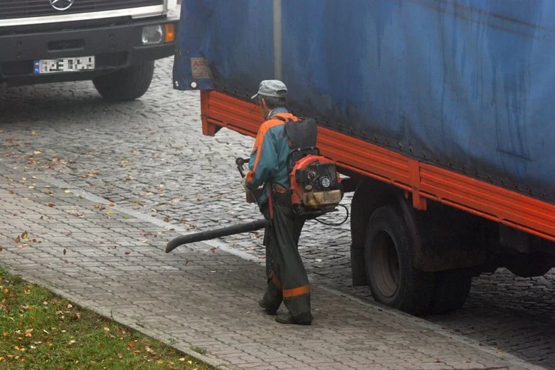 Dmuchawa wzbija w powietrze wszystko - liście, śmieci, kurz i psie kupy.