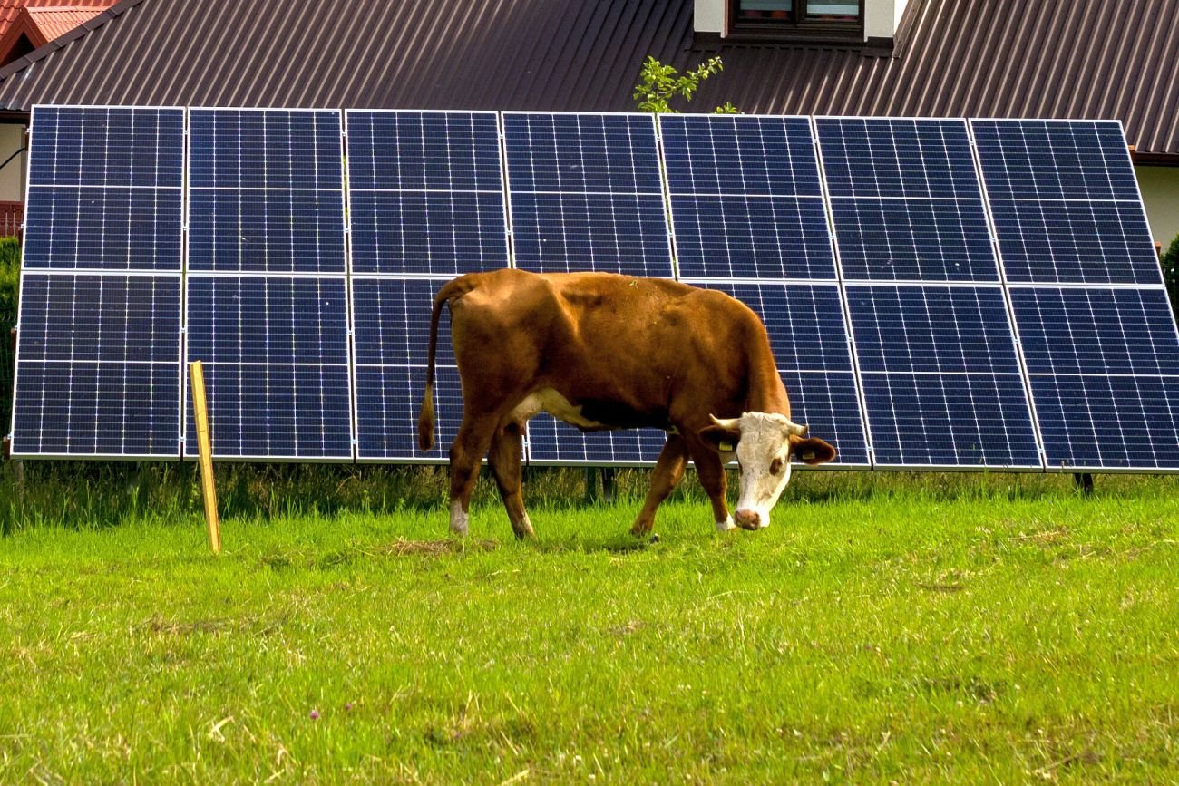 Nowa edycja programu "Mój Prąd" ruszy 15 grudnia