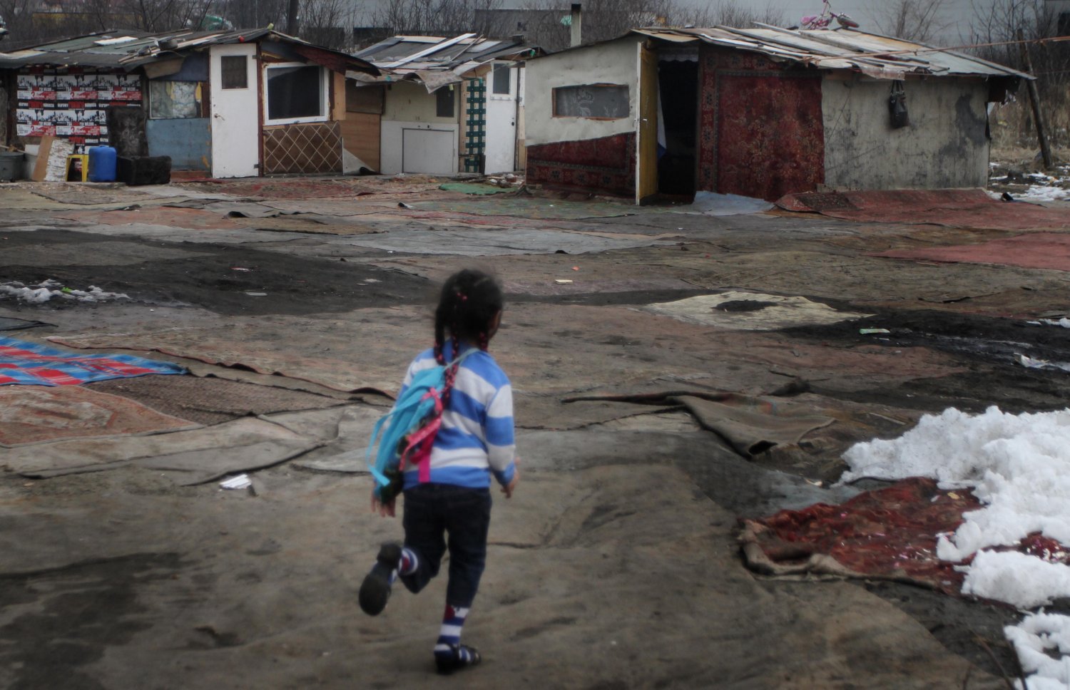 Prezydent Czech Milosz Zeman postuluje, by odebrać zdrowym Romom zasiłek dla bezrobotnych, jeśli odmawiają pracy.