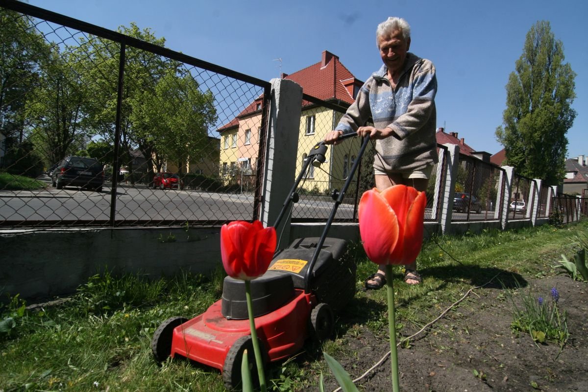 W Portugalii pojawia się coraz więcej ofert pracy dla osób po pięćdziesiątce. Trwa aktywizacja pracowników zbliżających się powoli do emerytury