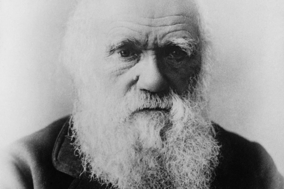 Eksperyment brytyjskich naukowców zadał właśnie ostry cios teorii Charles'a Darwina dotyczącej miejsca najwcześniejszego pochodzenia życia.