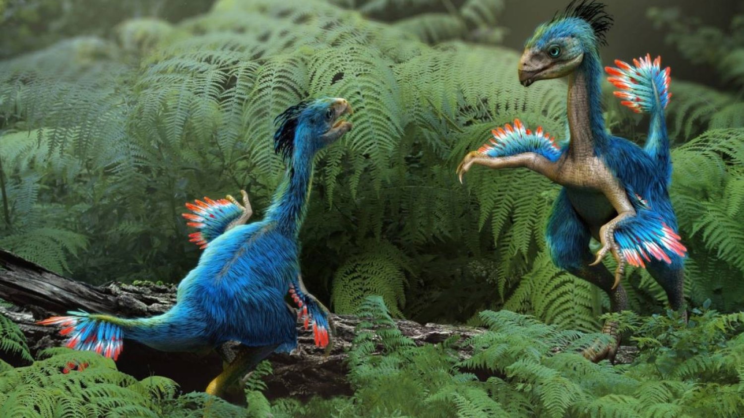 Kaudipteryks - wizualizacja dinozaura
