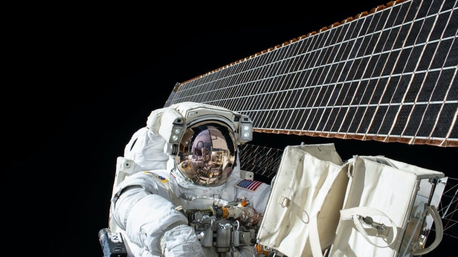 Astronauci przebywając w kosmosie są narażeni na duże promieniowanie. Tarczą ochroną może okazać się roślina z Czarnobyla.