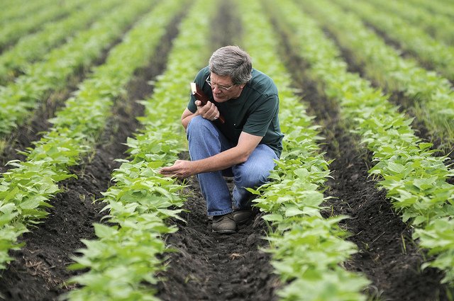 Polscy naukowcy dokładają swoją cegiełkę nad opracowaniem lepszej żywności dla Europejczyków.