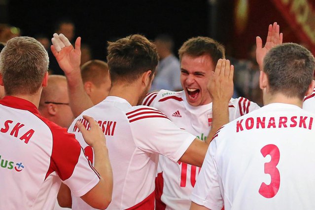 TDS Polska robi równie solidny sprzęt jak nasi siatkarze.