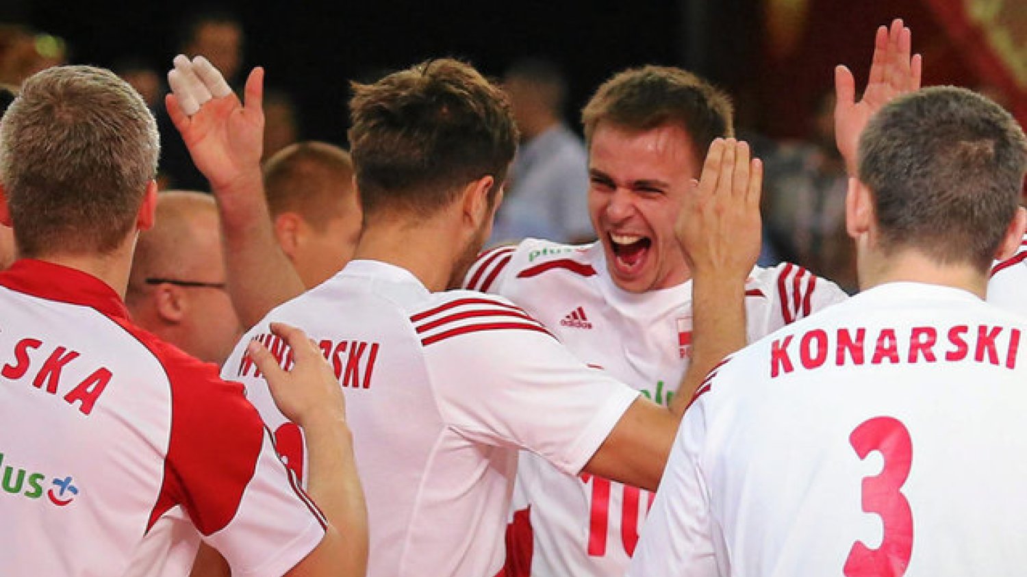 TDS Polska robi równie solidny sprzęt jak nasi siatkarze.