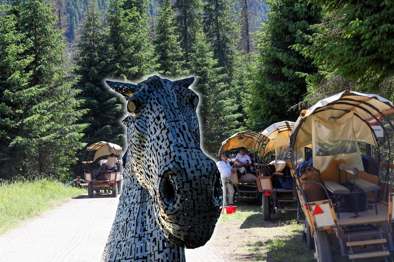 Robo-kuń w Zakopanem.