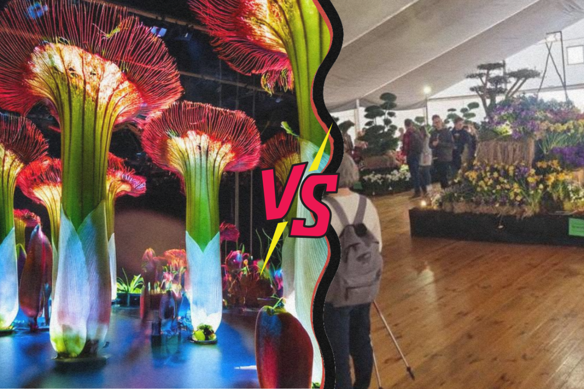 Wkręceni przez AI w magiczną wystawę kwiatów. Klienci piszą wprost: "Padłem ofiarą oszustwa"