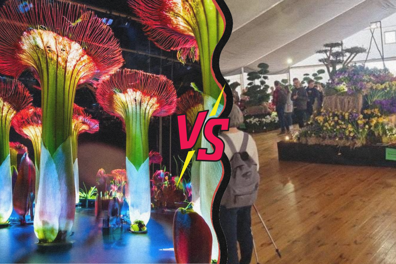 Grafiki promocyjne zestawion z fotografią wydarzenia.