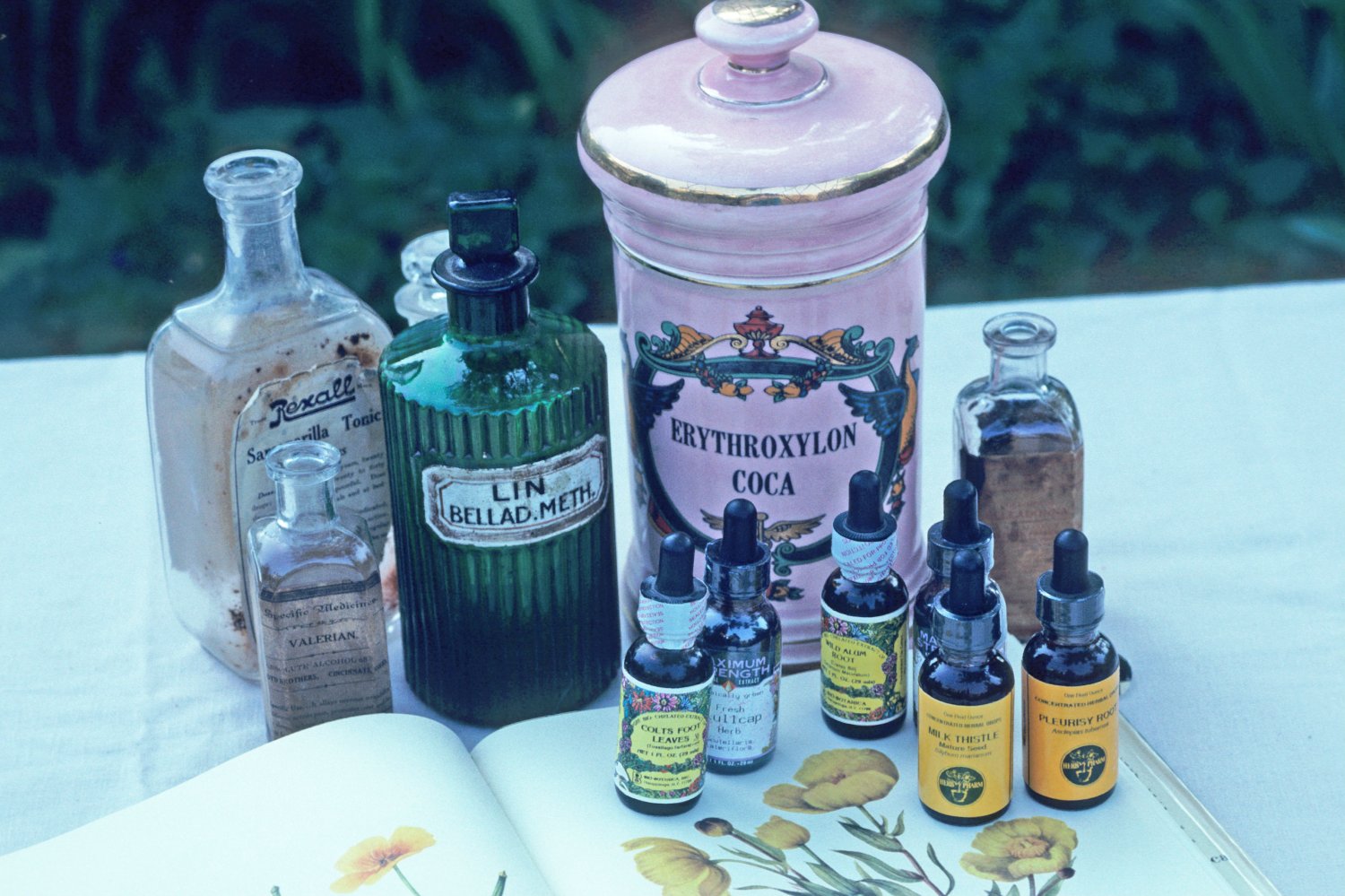 Środowisko medyczne nie traktuje homeopatii poważnie, nie chce jej na uniwersytetach