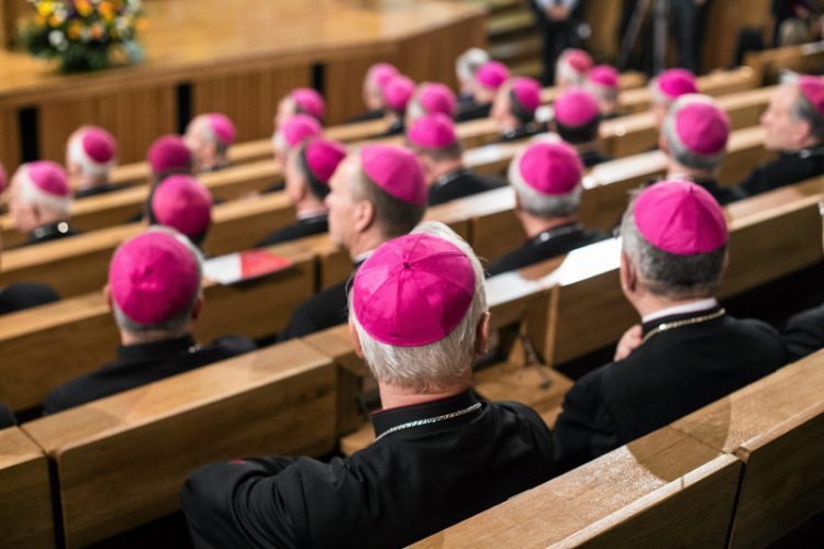 Kościół rzymskokatolicki ma dużo więcej ziemi niż wszyscy pozostali, najwięksi światowi posiadacze na liście razem wzięci.