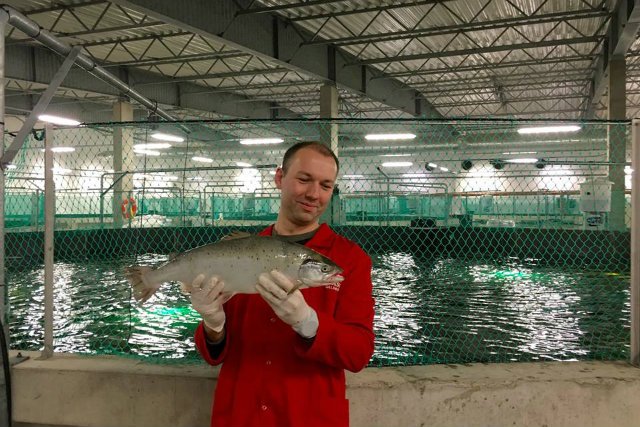 Hodowli łososi z Janowa bliżej do luksusowego spa niż mordowni, z której kojarzone są miejsca hodowli zwierząt