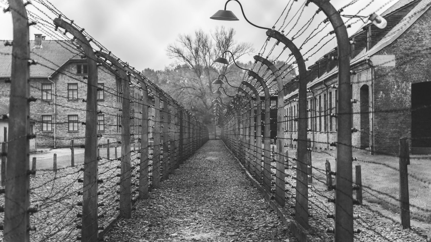 Auschwitz – obóz zagłady w Oświęcimiu w czasach II wojny światowej. Niemiecka prasa wzywa do wypłaty pieniędzy polskim ofiarom wojny.