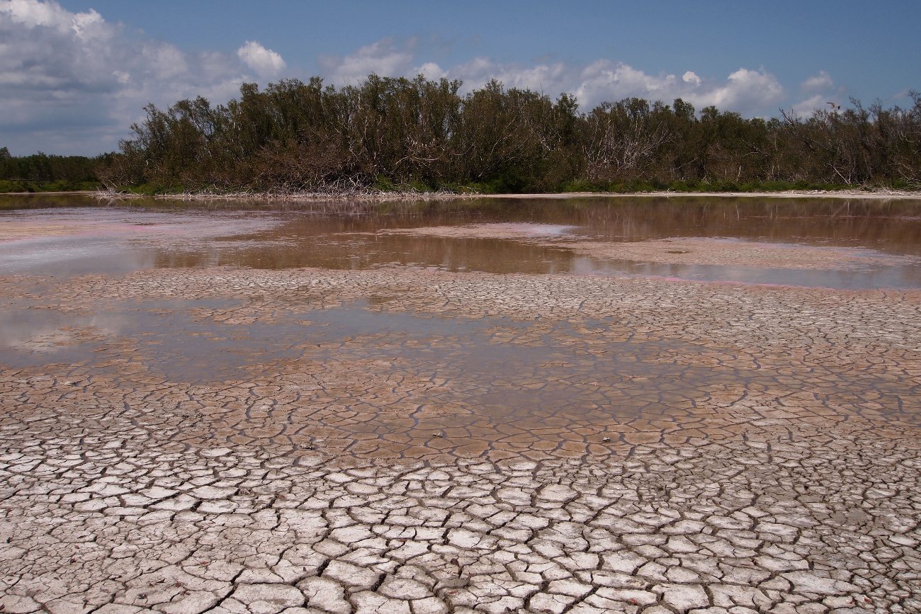 ekstremalna susza w Parku Narodowym Everglades na Florydzie