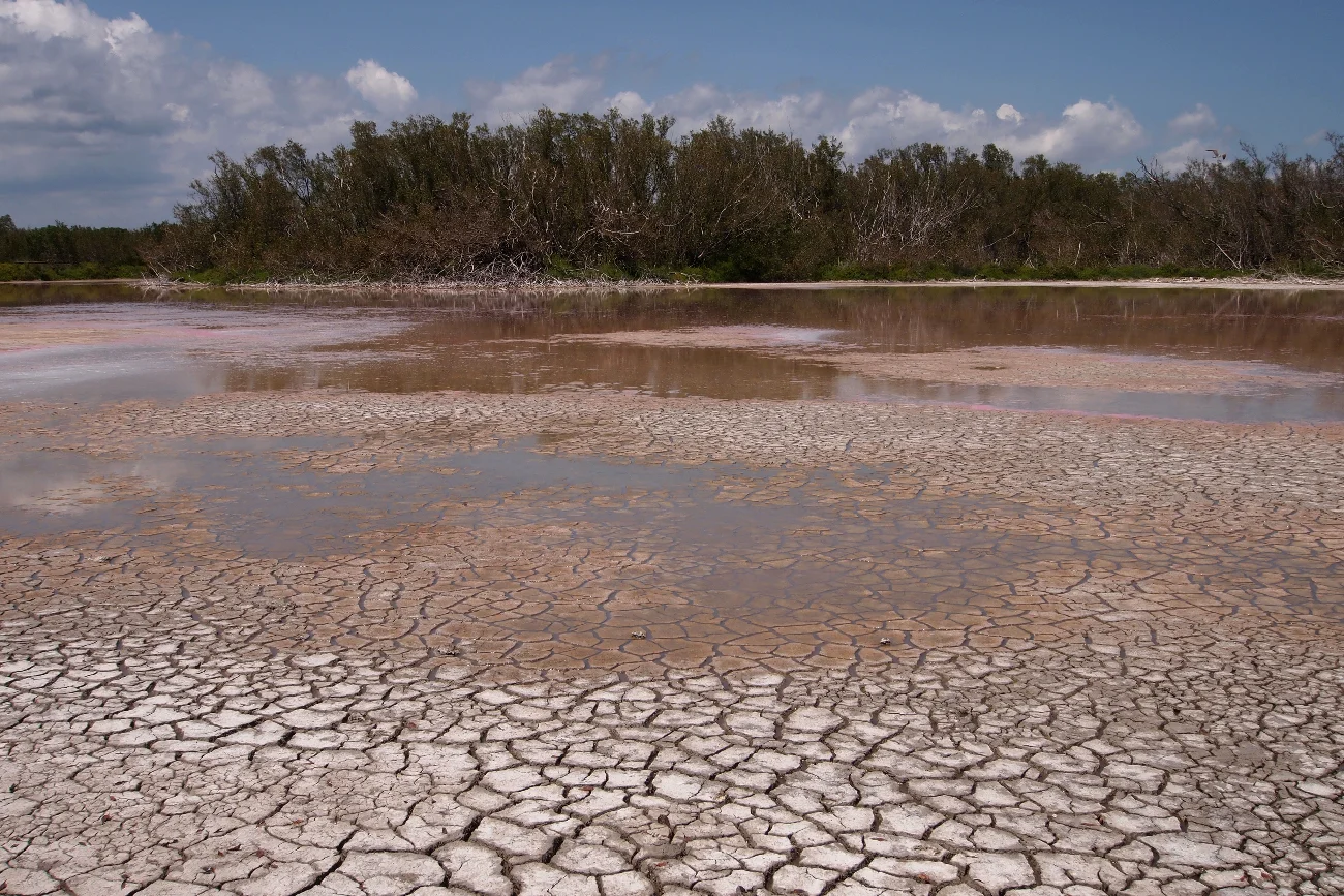 ekstremalna susza w Parku Narodowym Everglades na Florydzie