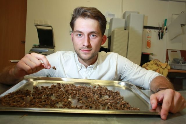 Jacek Janicki, Ronzo