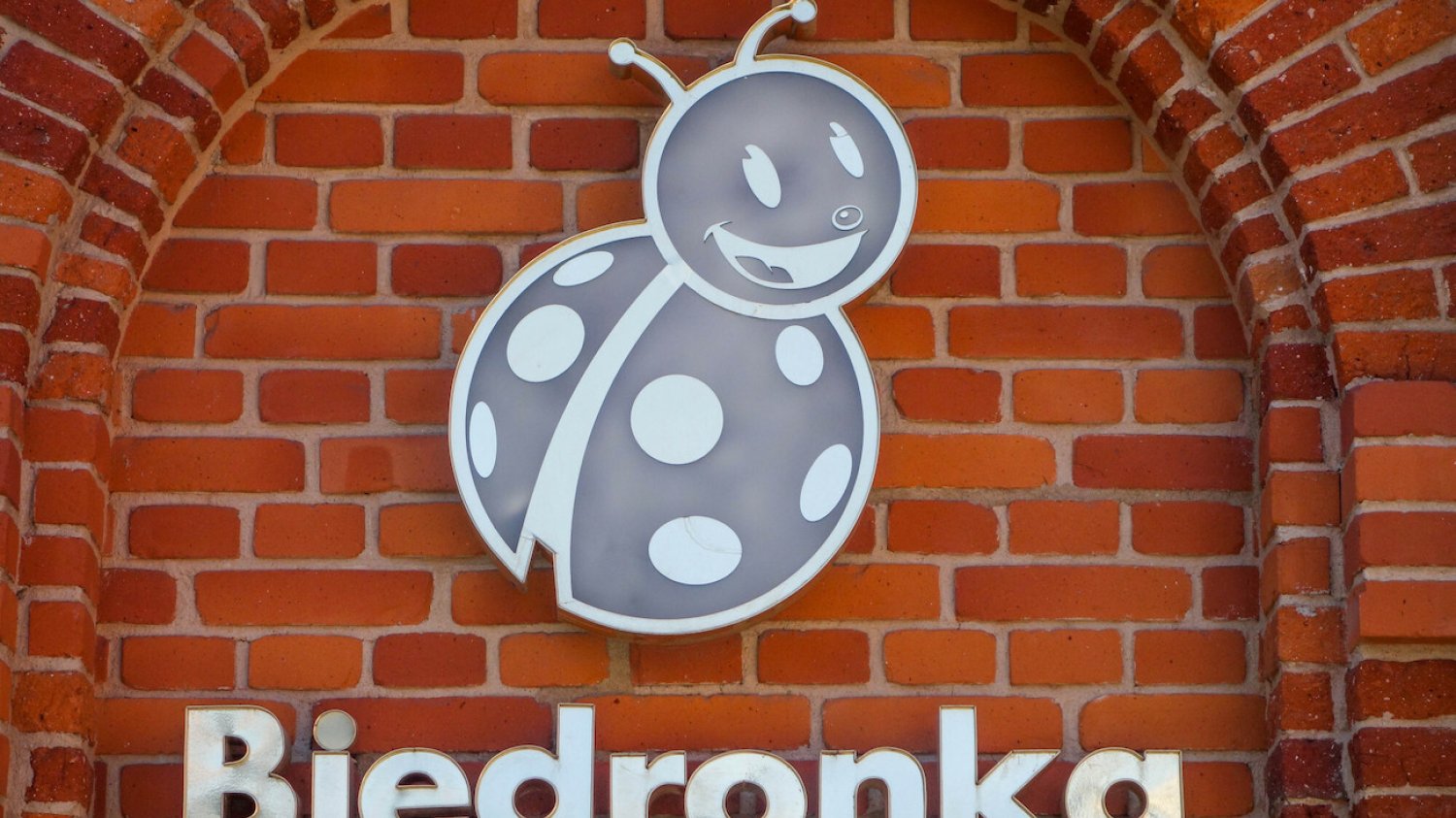 Biedronka uruchamia sklep internetowy Biedronka Home