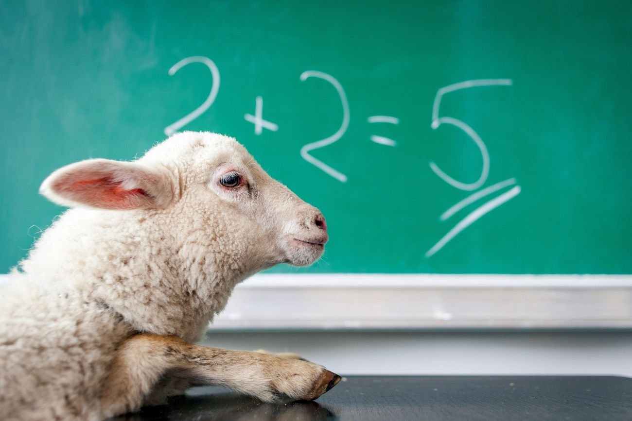 Jak szczytne idee naukowców przegrały z wielkimi pieniędzmi, głupotą i prymitywizmem.