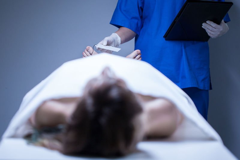 W Polsce brakuje "farm śmierci". Dzięki nim entomolodzy określają datę zgonu z dokładnością go dwóch godzin