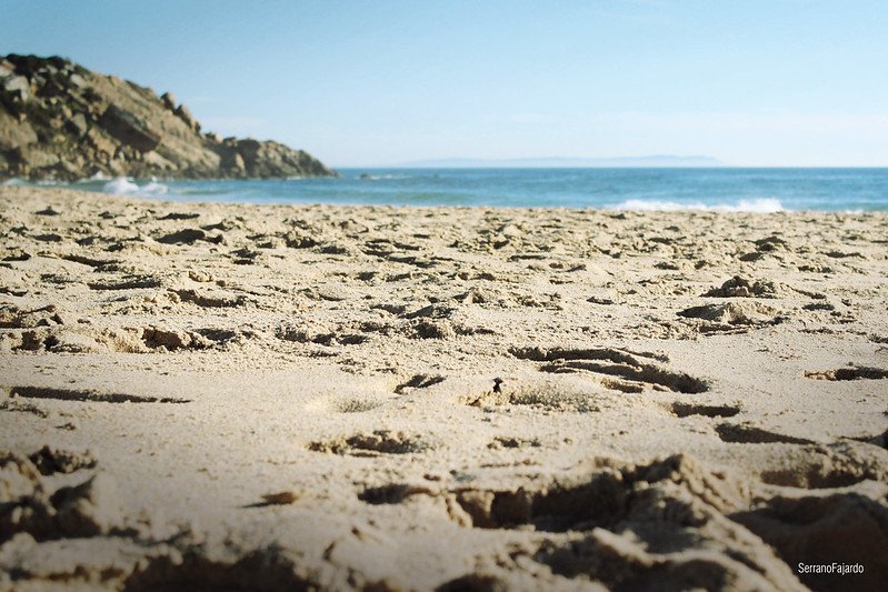 Władze hiszpańskiej wioski zdecydowały się na oprysk plaży chlorem z powodu obawy zakażenia koronawirusem.