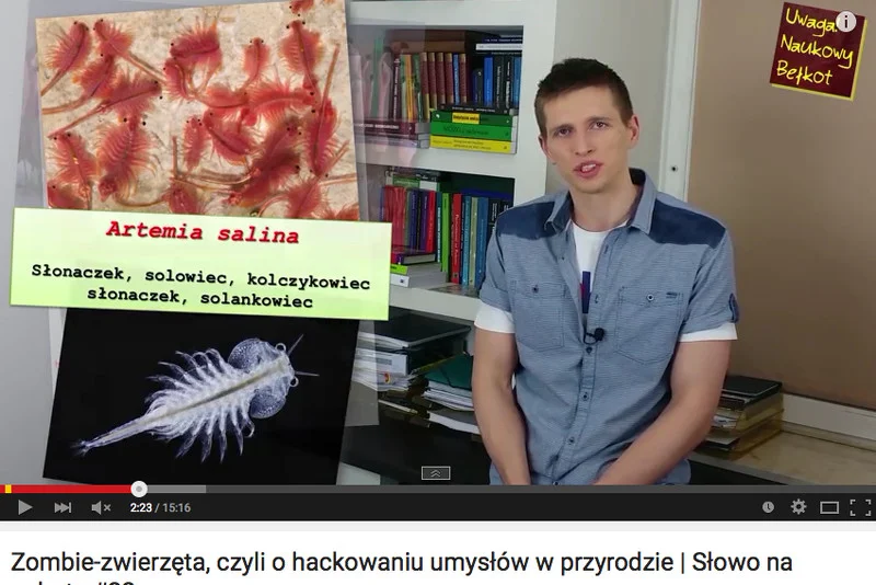 Odrobina naukowej groteski nigdy nie zaszkodzi