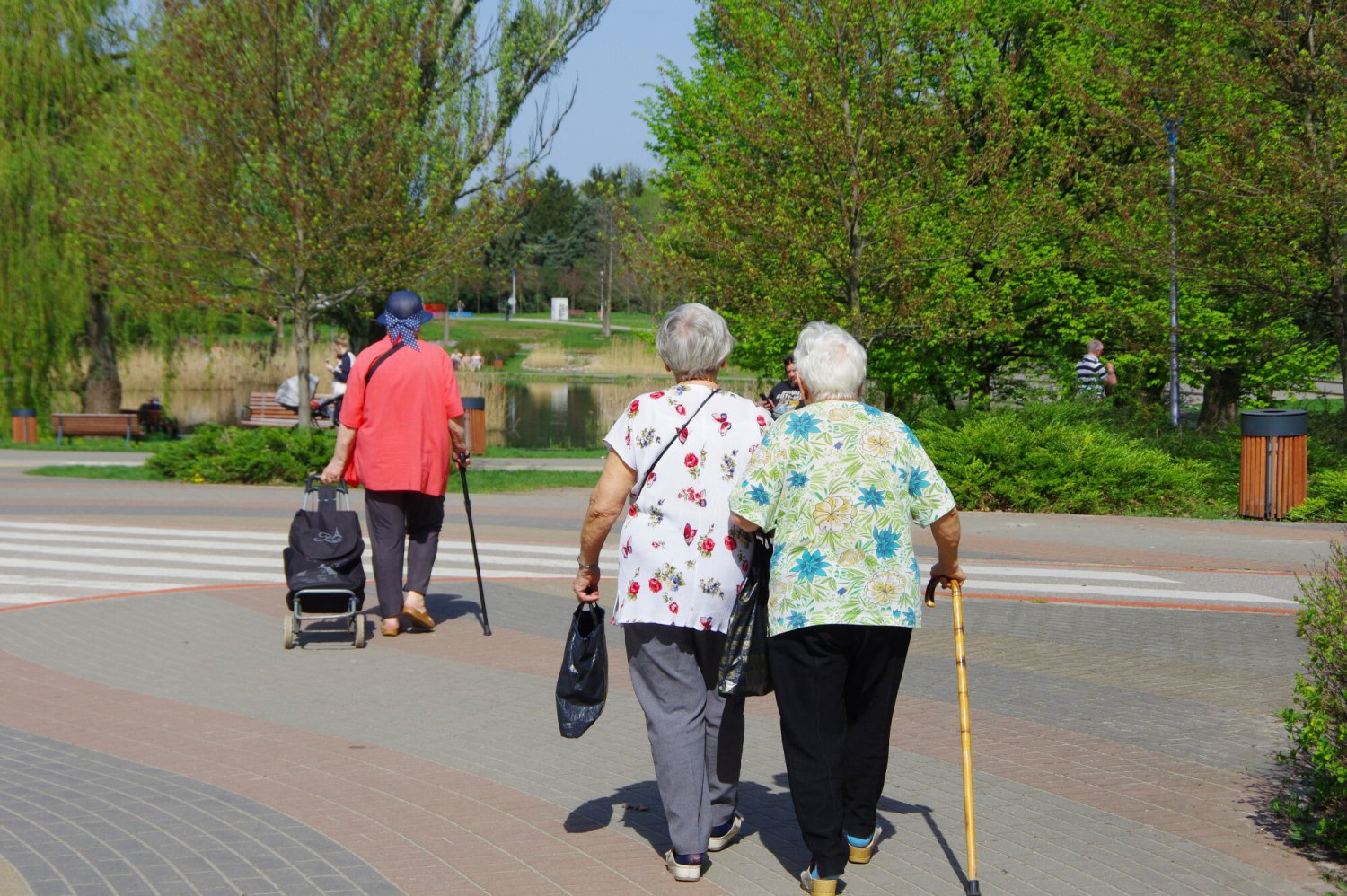 Wypłata emerytury w maju 2024 – nowe terminy przelewu