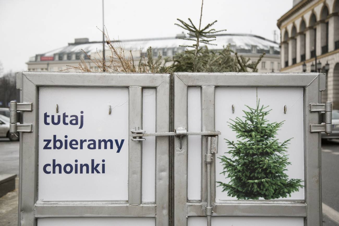 Punkt odbioru choinek.