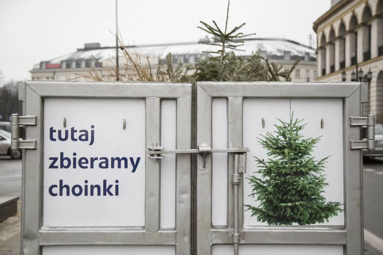 Punkt odbioru choinek.