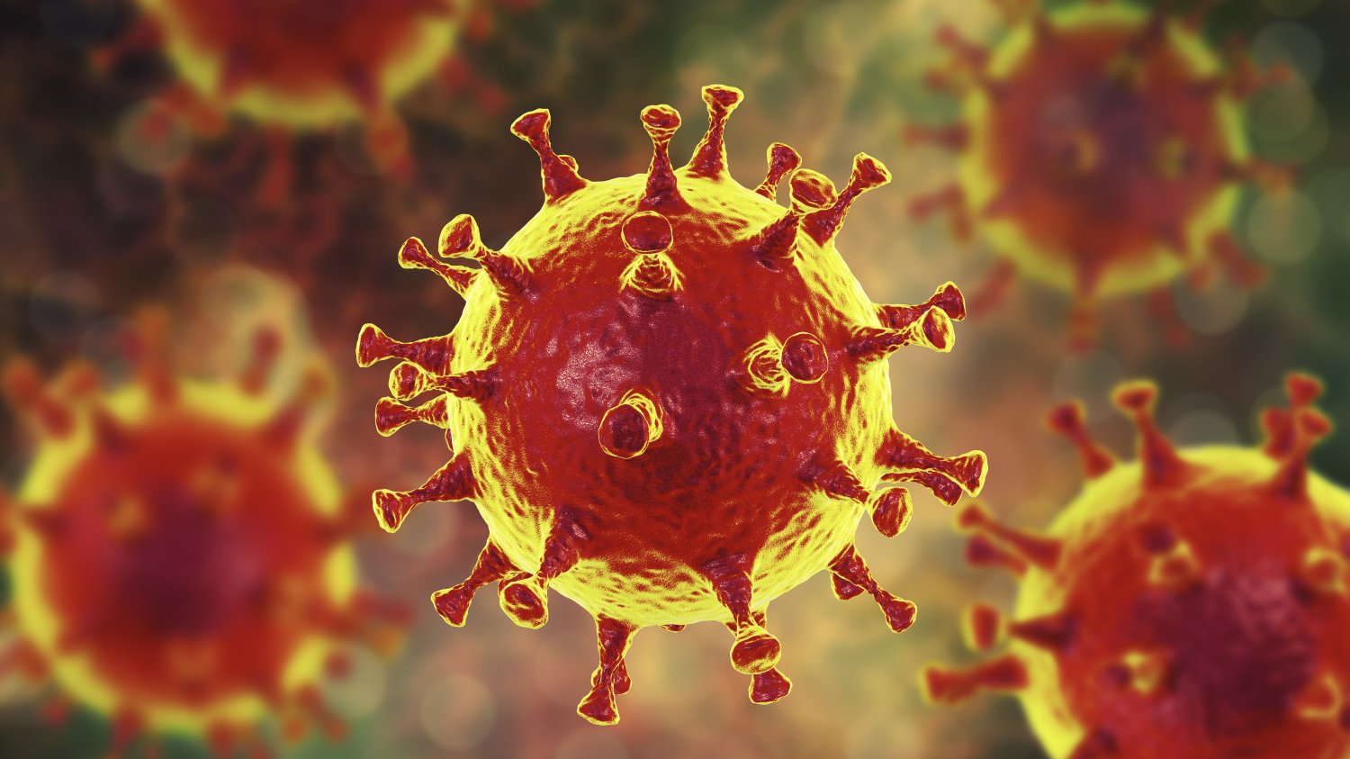 Blokada ani zamknięcie nie powstrzymają epidemii nowego koronawirusa