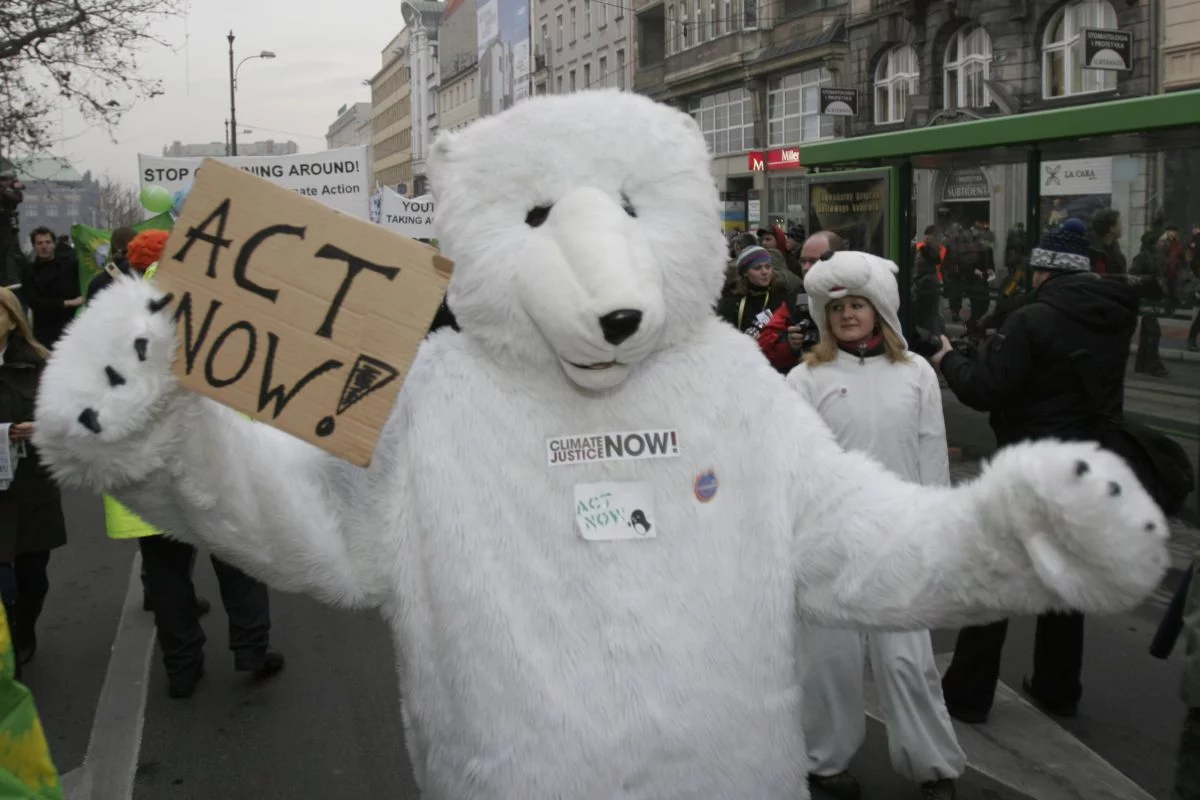 Protesty przeciwko zmianom klimatu miały miejsce w wielu polskich miastach
