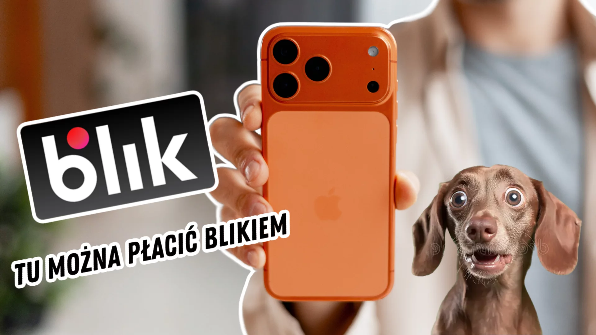 Blik wchodzi na iPhone’y. Koniec z wykluczeniami w mobilnych płatnościach Logo Blik z podpisem tu mozna placic blik. Osoba trzymająca najnowszego iphone'a 17. Zaskoczony pies typu jamnik.