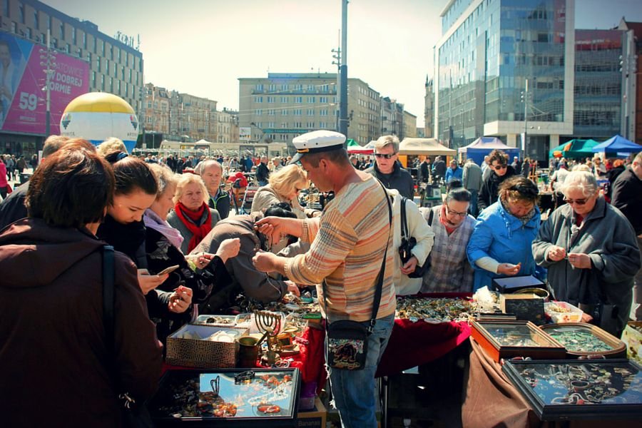 Koło wybiegu niedźwiedzi przy warszawskim zoo już w sobotę ruszy ZOO MARKET.