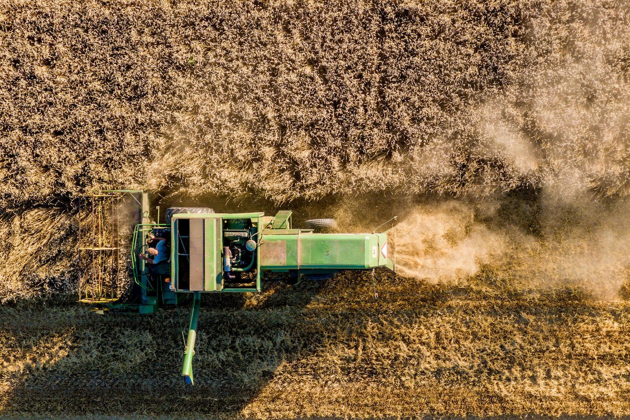 Ukraina zakazuje eksportu żywności