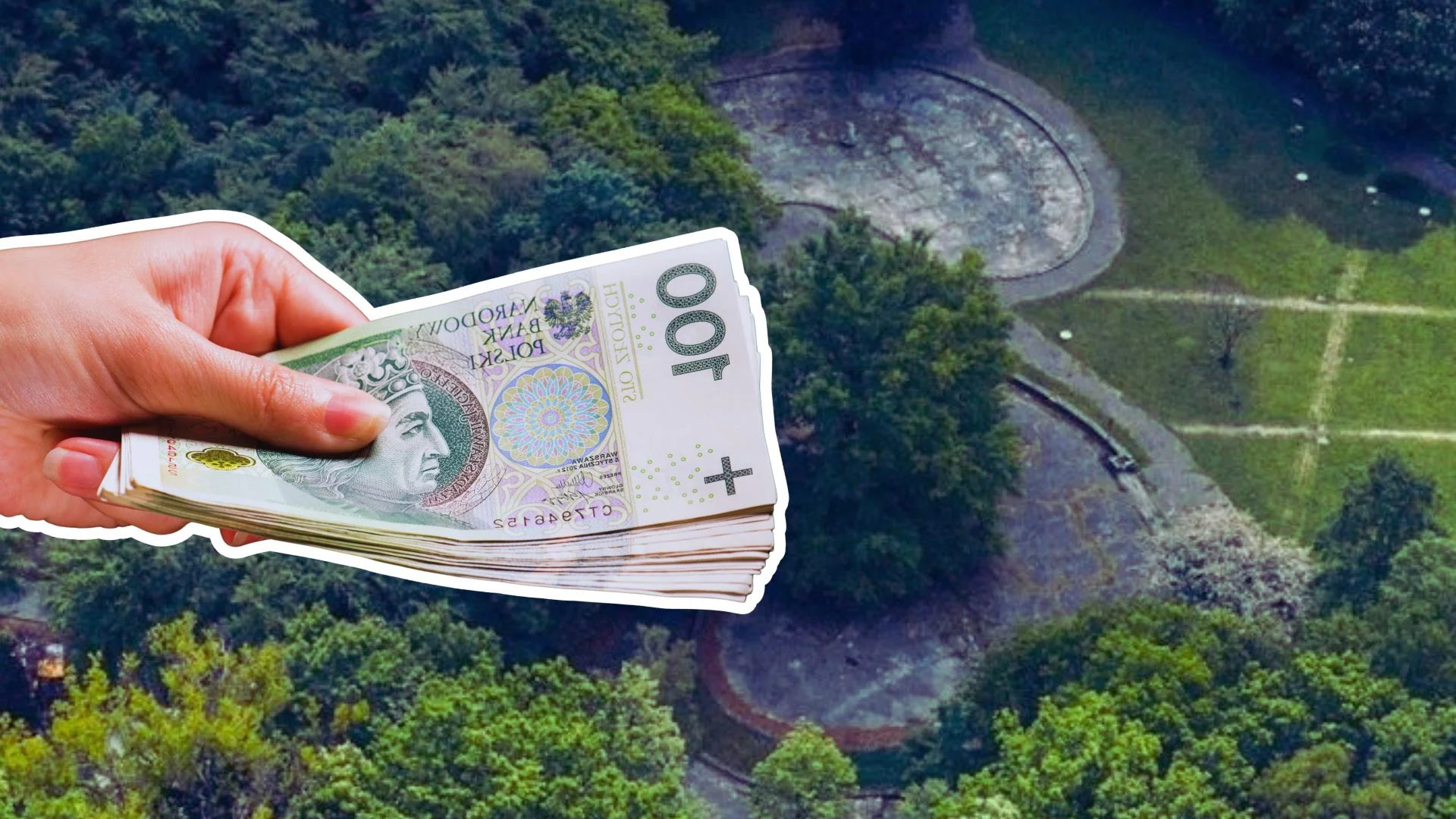 Gliwice biorą się za Las Komunalny. Teren wokół dawnego klubu Bravo czeka metamorfoza