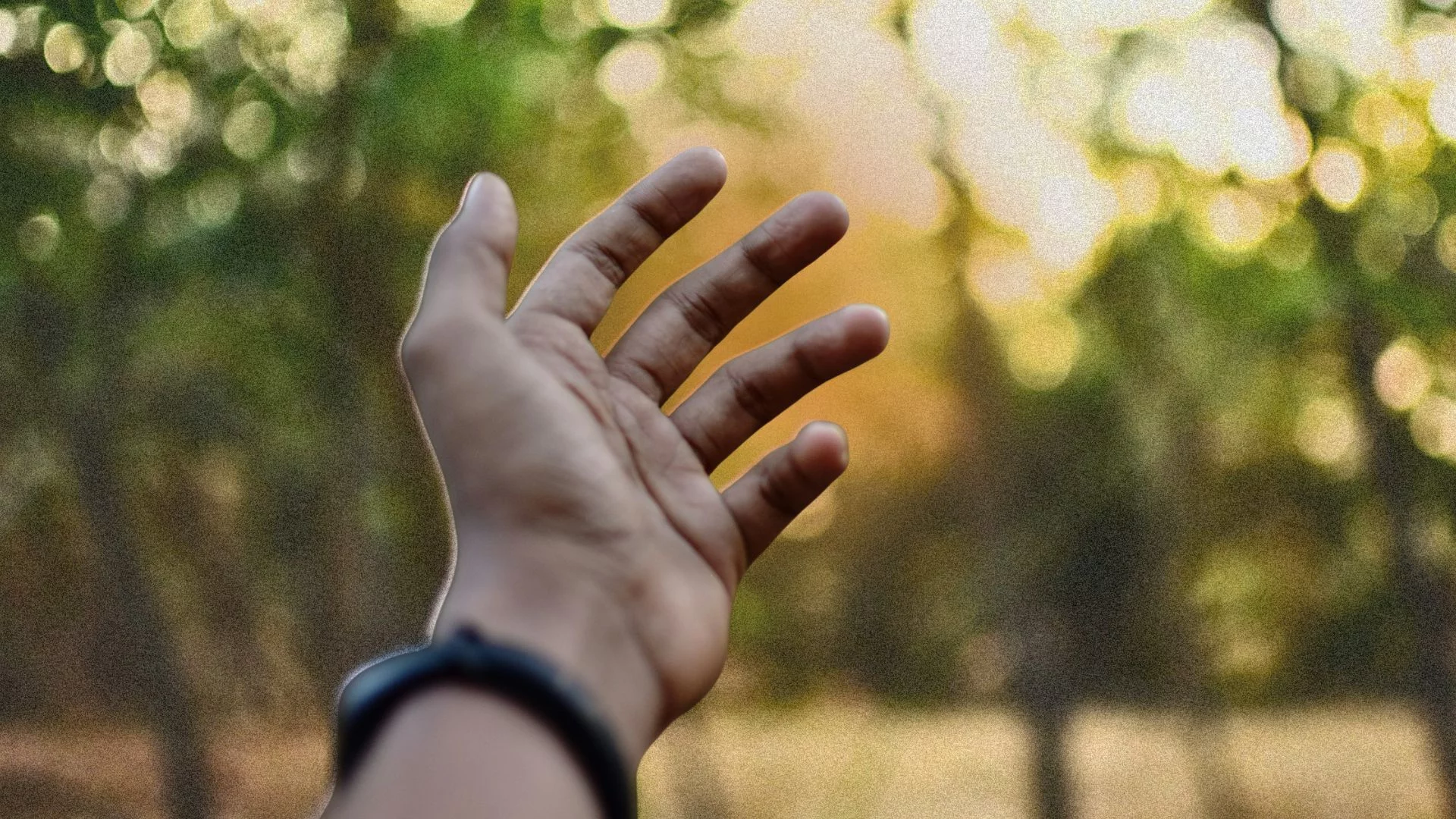 Marzy ci się samowystarczalność? Oto ile przestrzeni potrzebujesz