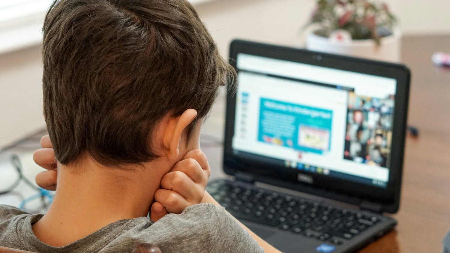 Dziecko korzysta z laptopa. 1,7 mld zł na cyfryzację polskich szkół
