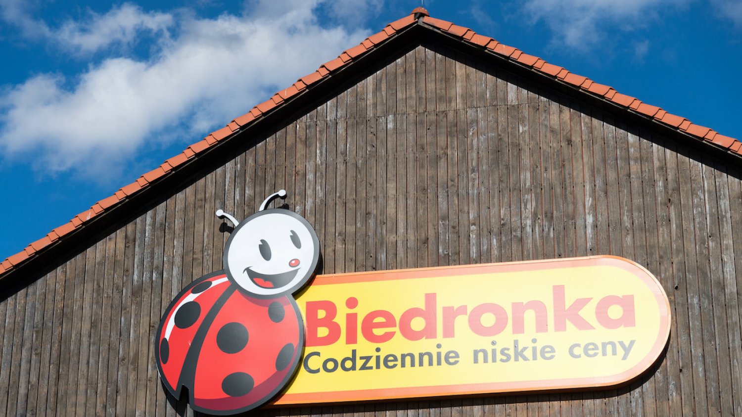 Ubrania marki 4F są do kupienia w Biedronce